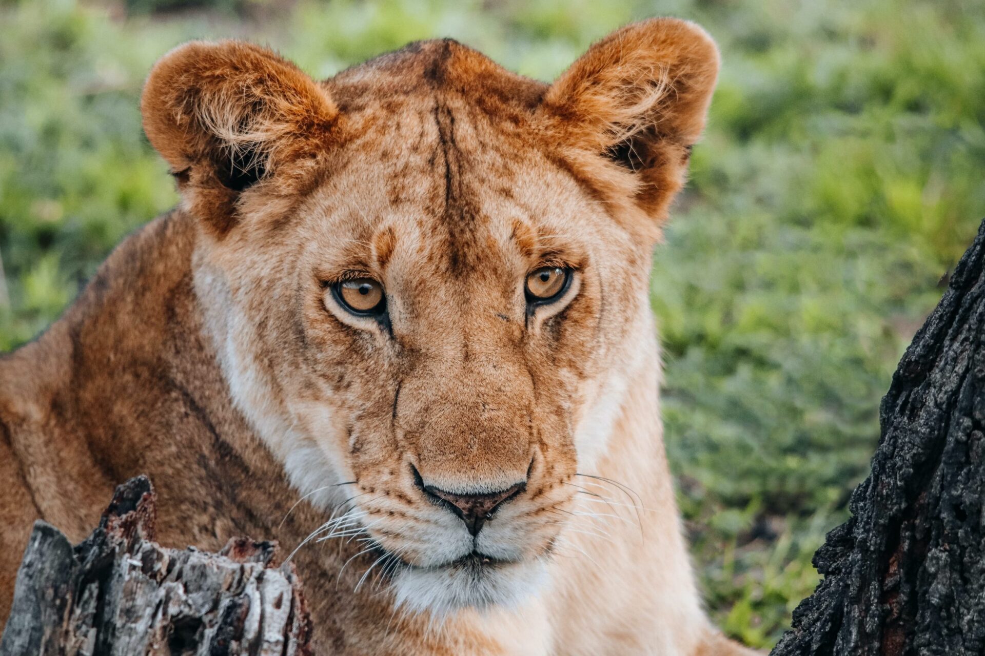 team-mfina-aOUNWe8Cl7w-unsplash