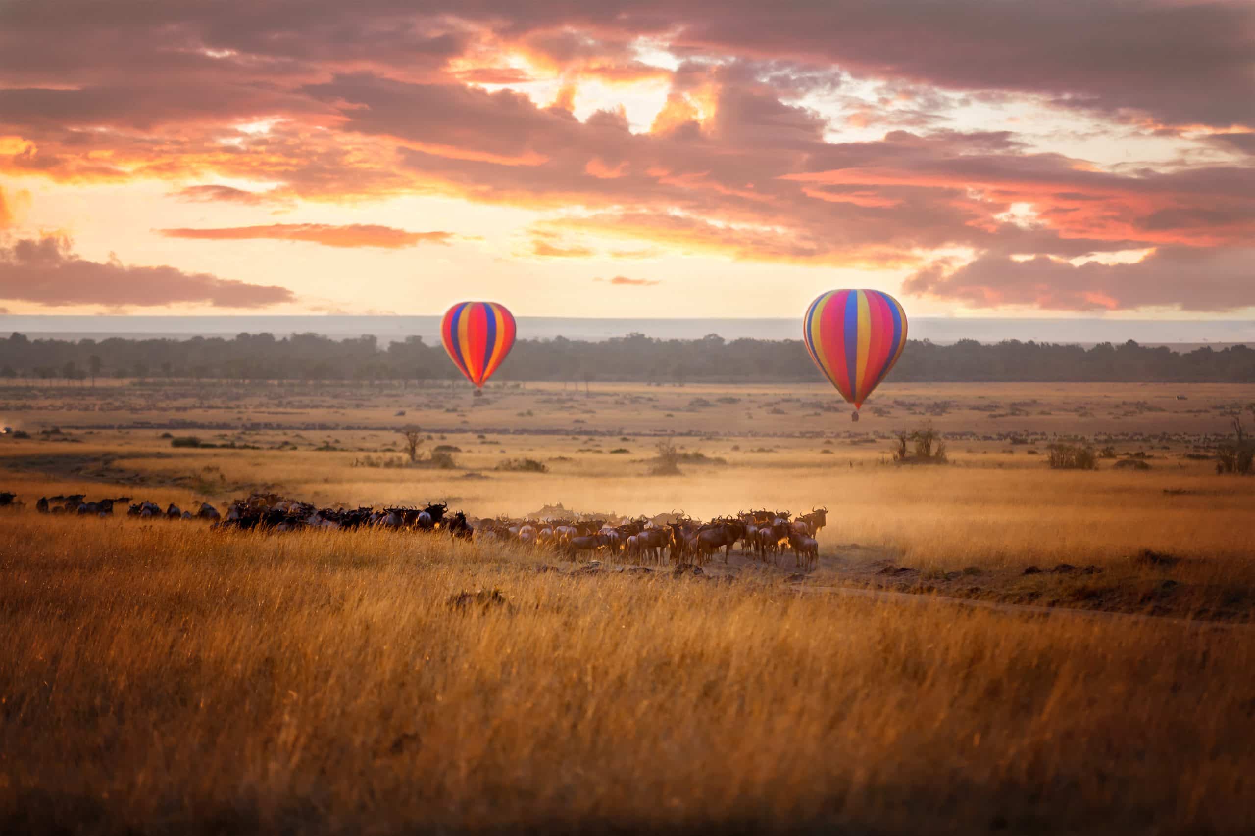 Sunrise,Over,The,Masai,Mara,,With,A,Pair,Of,Low-flying