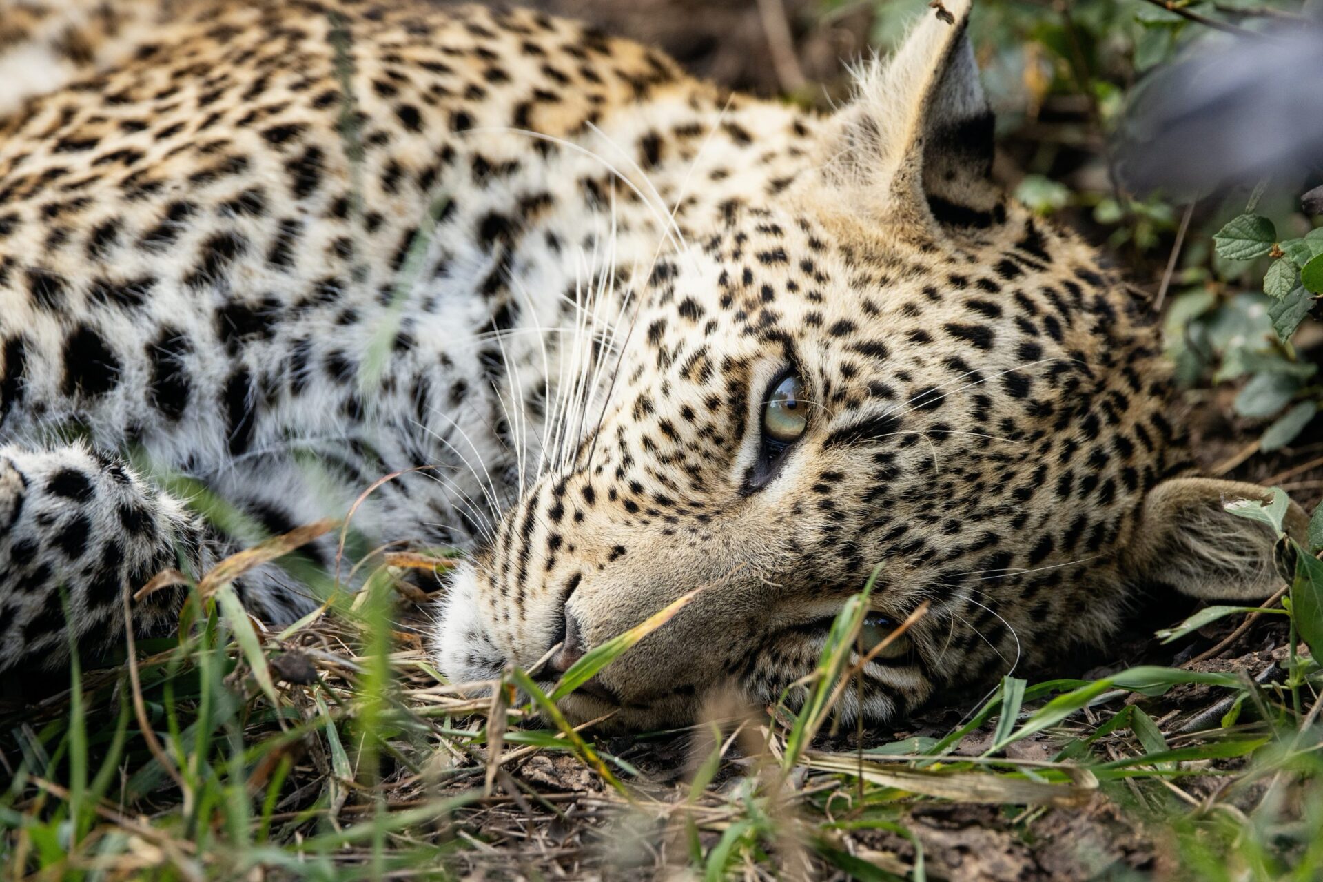ian-mackey-UNDRa2_Ns2E-unsplash