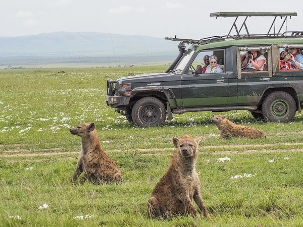 masai-mara