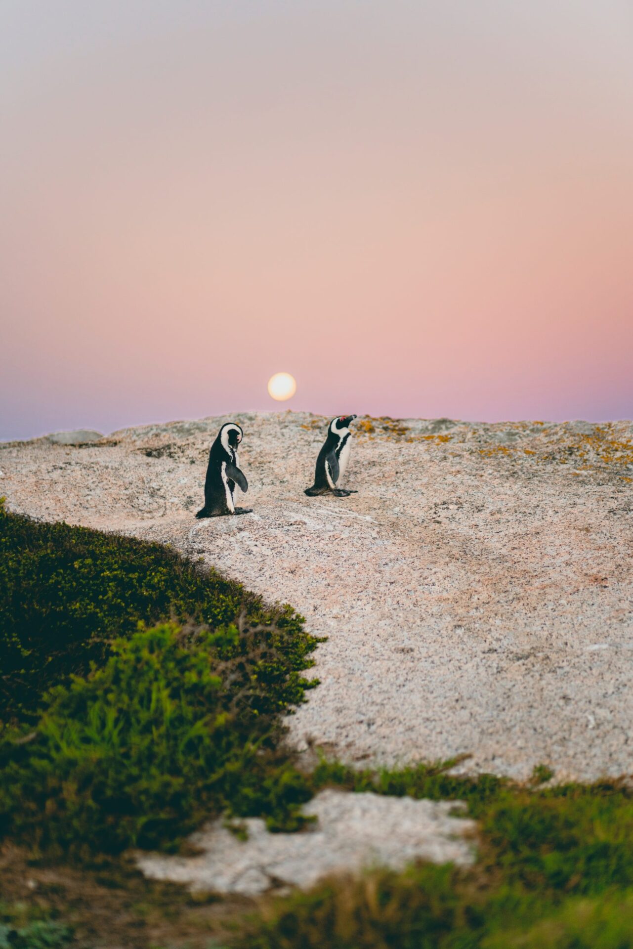 rachel-martin-PnAc2UaeqII-unsplash