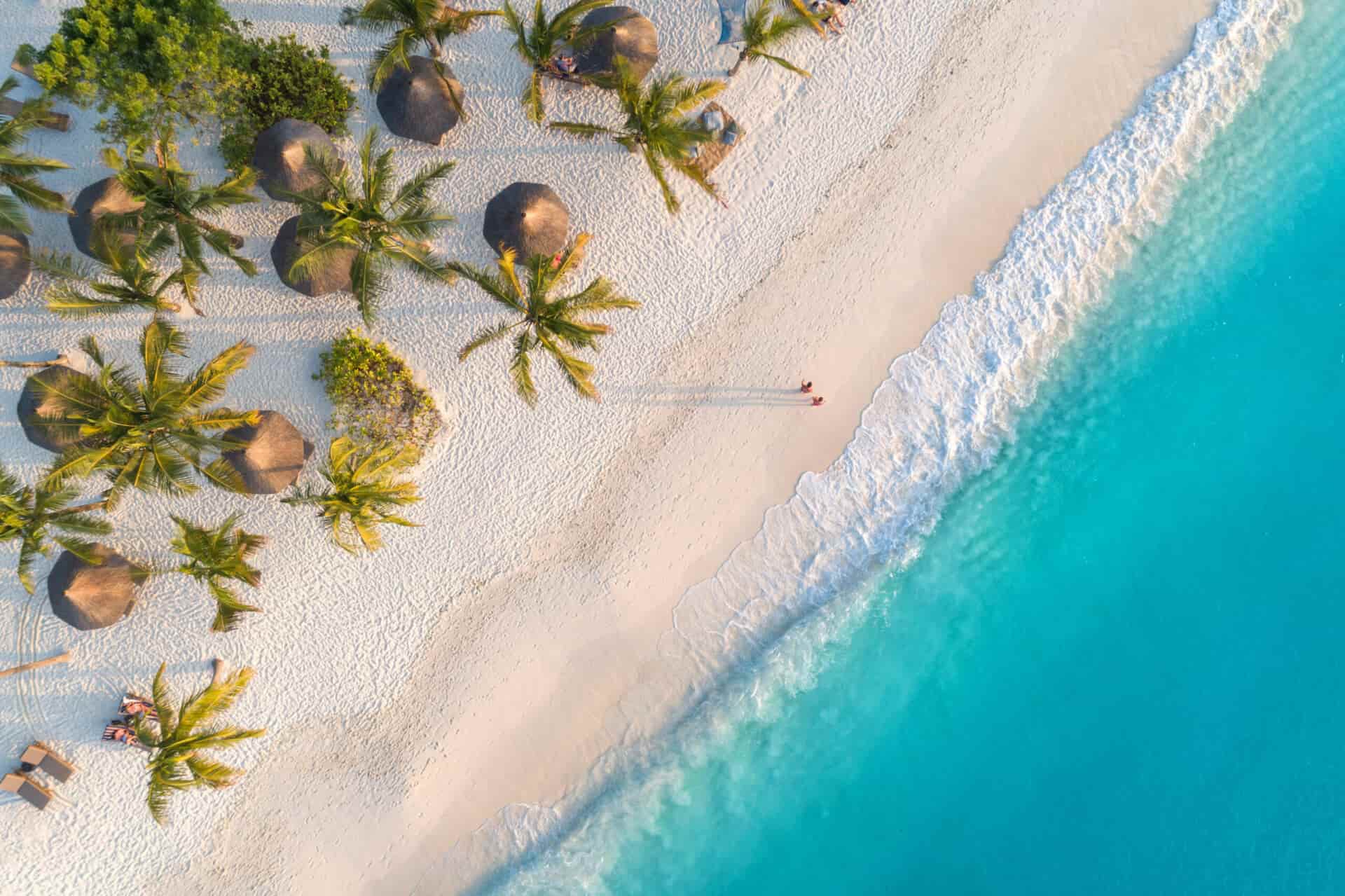Aerial view of umbrellas, palms on the sandy beach of Indian Oce