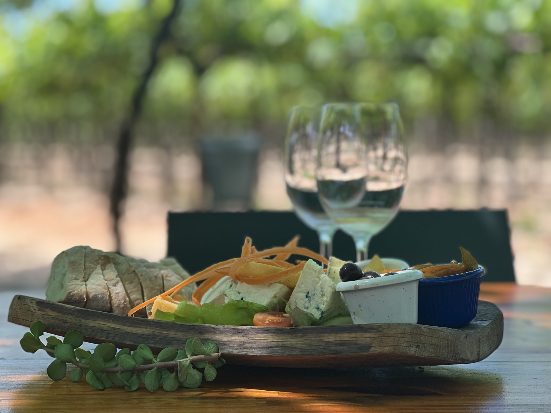 south-africa-winetasting