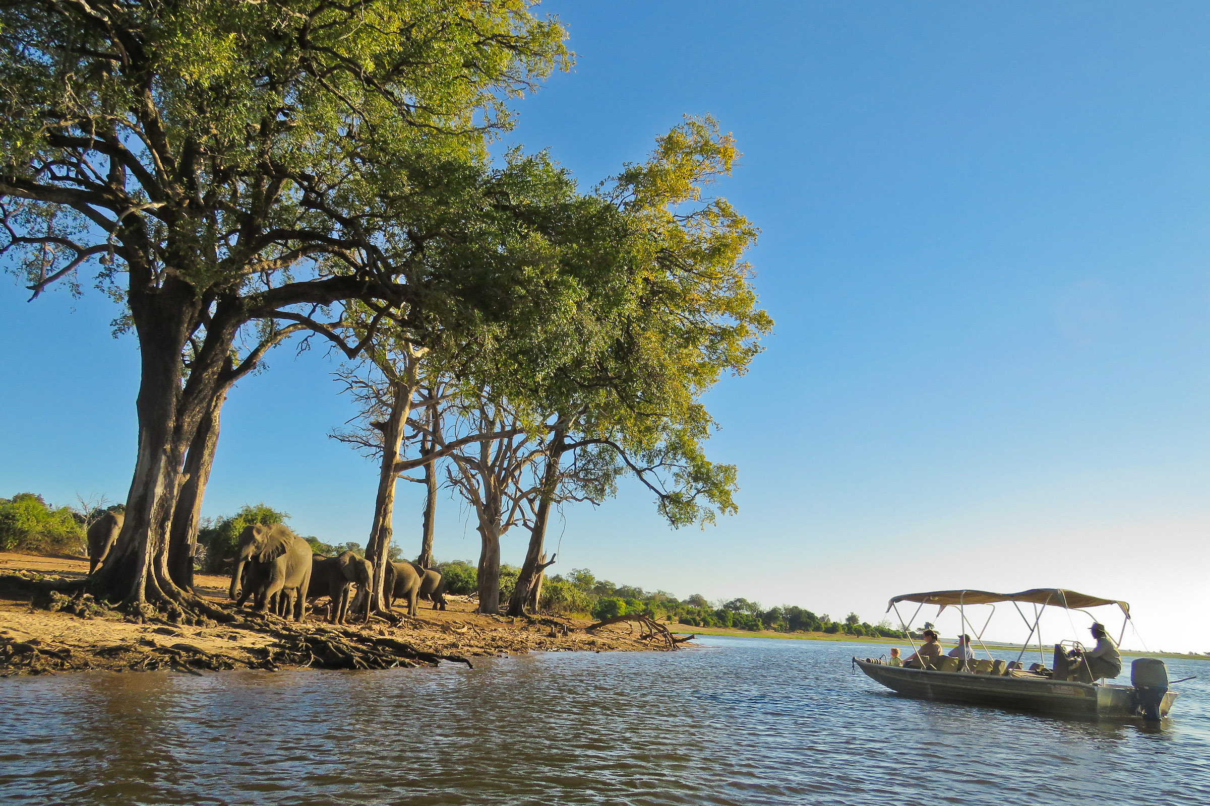 Sunway Botswana Chobe Christian Hertel-8235