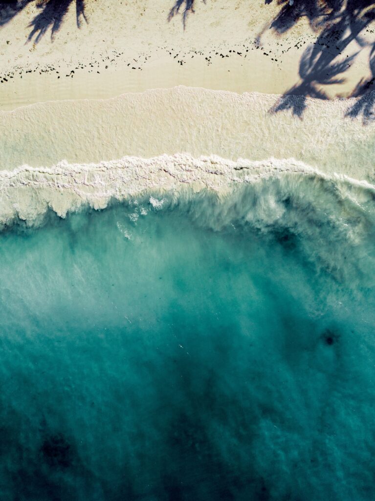 Strand på Zanzibar