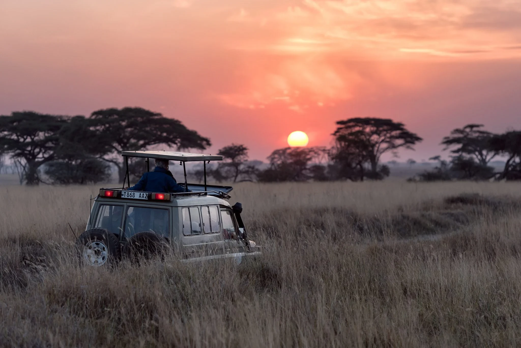 En solnedgång på savannen när några turister åker i en jeep under en resa till Tanzania