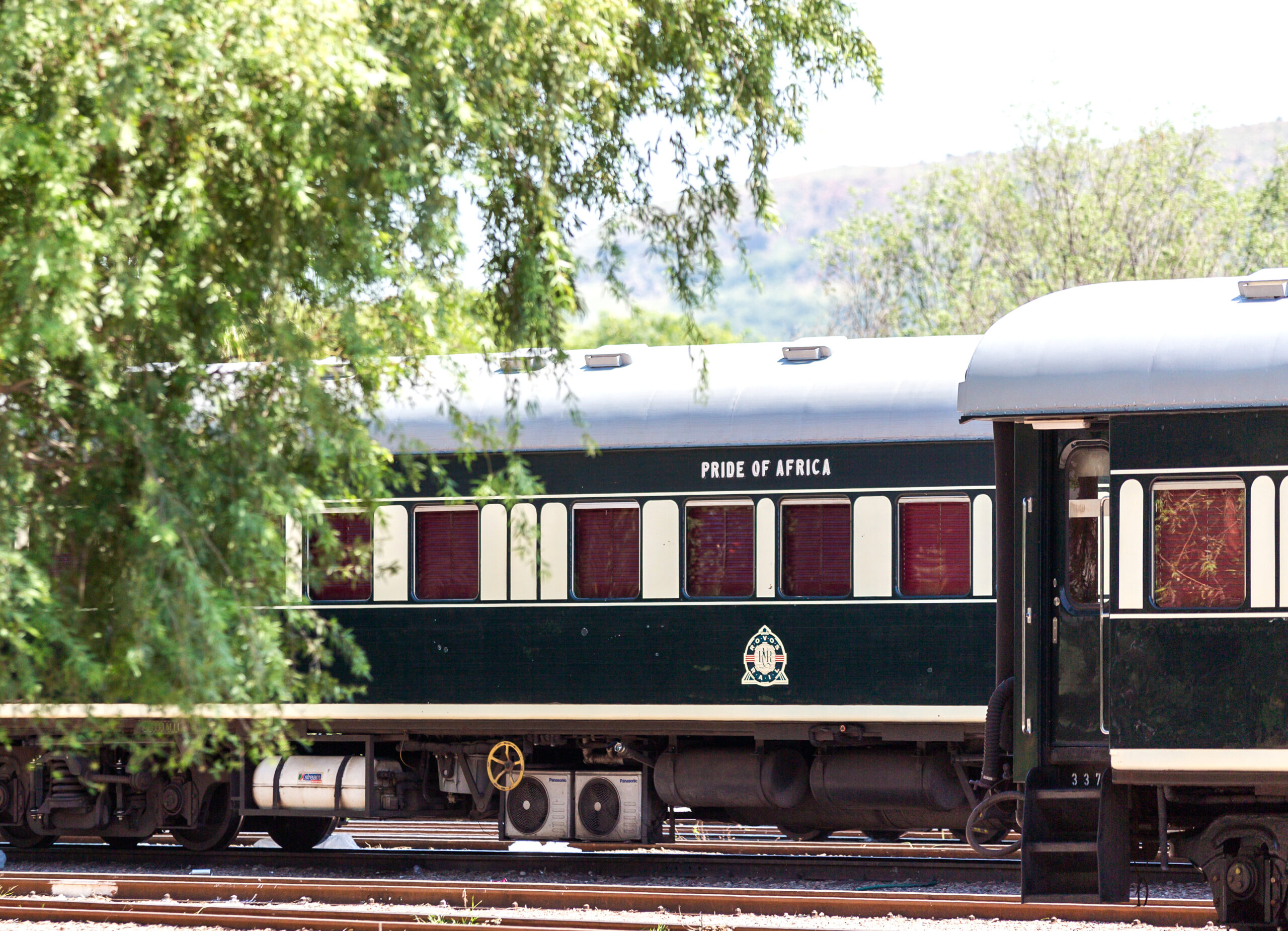RVR-CoachesTrees-HRes